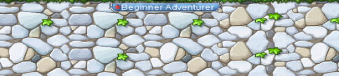 Company Banner