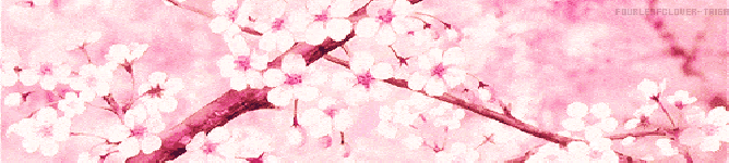 Company Banner