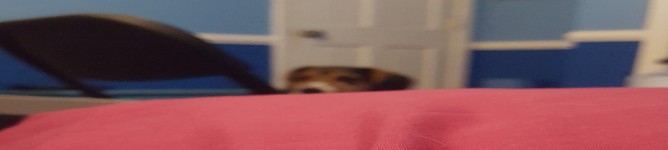 Company Banner