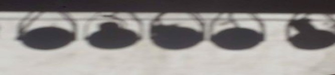 Company Banner