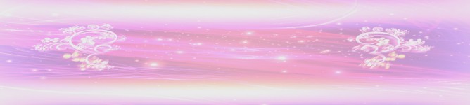 Company Banner
