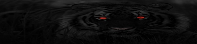 Company Banner