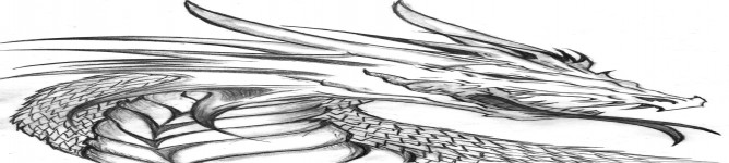 Company Banner