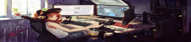 Company Banner