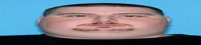 Company Banner