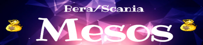 Company Banner