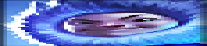 Company Banner
