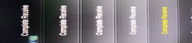 Company Banner