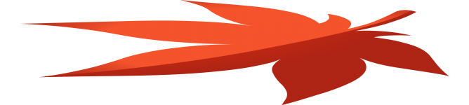 Company Banner