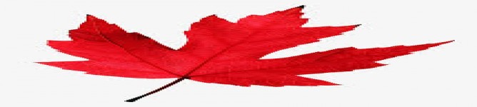 Company Banner