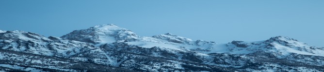 Company Banner