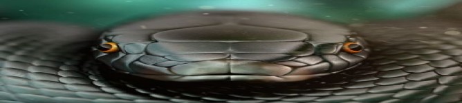 Company Banner