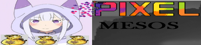 Company Banner