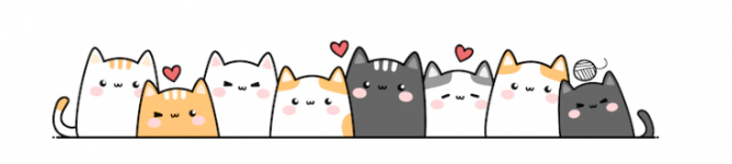 Company Banner