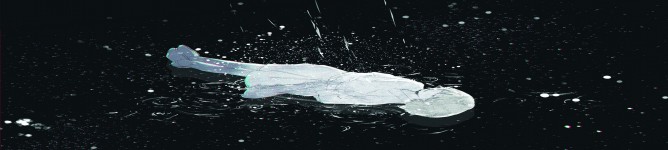 Company Banner