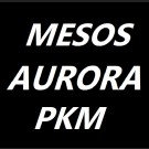 MESOS AURORA  100b+ 