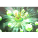Chaos Guardian Slime | Max Drop rate | Fast Run | NA Reboot                                                                                                 